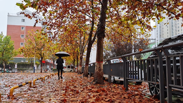 雨中周口，別有一番韻味